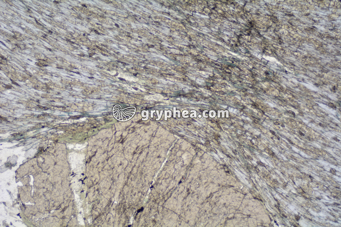 Schiste à grenats et glaucophane LPNA x25 - gryphea.com